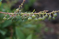 �G�]�E���W���n�i�q���m�L