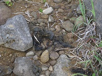 �F�̕������������ɁI�I