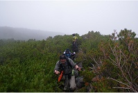 �n�C�}�c�т̔�������i�ނ��Ƃ��������B