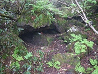 �����͑�o�����ȁH