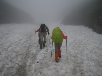 ����z���Ă��܂��܂���͒����E�E�E�B