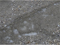 �����̉��͐�B�������ɂ��̂ŃY�u�Y�u�ƒ��ށE�E�E�B