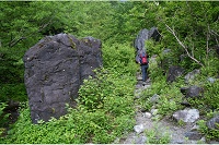 ��ɑ�̉����������郋�[�g���B