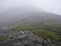 �g���o�[�X���򂩂�݂�����ɓo��B