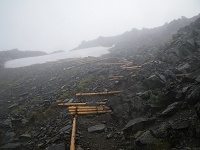 ���΂��o��o��E�E�E�B