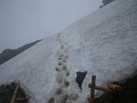 ��k�̓g���[�X��������Ȃ��ʉ߁B