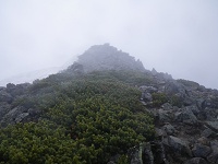 ����͑����A�R���͔ޕ��ɁE�E�E