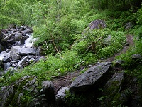 �򉈂���i�ށE�E�E�B