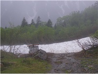 �r�͂܂��܂���̉��B