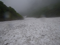 �ǂ�ǂ�Ɖ���E�E�E�B