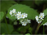 �^�`�J���o�\�E