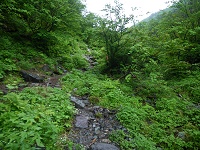 ��̍��݂�o��B