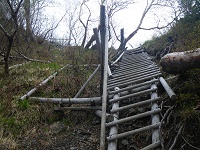 ���悢��n�V�S�n���̎n�܂肾�E�E�E�B