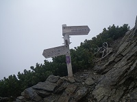 ���{���̃R���ɓ����I�I