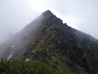 �R���̓쑤�͔��{���̓����ނ��Ă����B