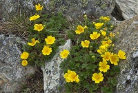 �~���}�L���o�C