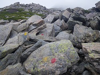 ����̓���i�ށE�E�E�B