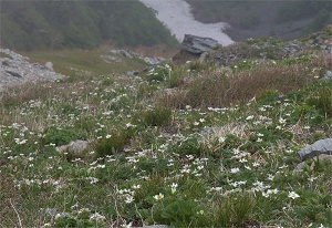 �J�Ɍ������č炭�L�^�_�P�\�E�̑�Q��(^-^)/