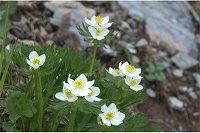 �n�N�T���C�`�Q