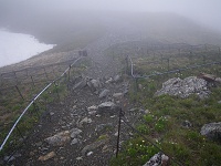 �Ԃň͂�ꂽ�ی��B�����ɂ��L�^�_�P�\�E���炢�Ă����B