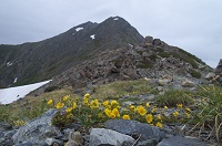 �~���}�L���o�C�Ɩk�x�B