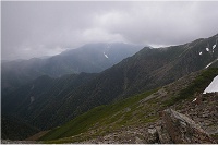 �R���͌����Ȃ����ǐ��P�x�B