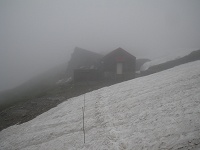 �K�X�ɉ��鏬������ɏo���B