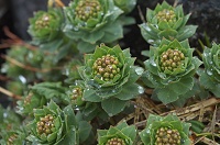 �������ς��̃C���x���P�C�B