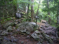 ���тƑ򃋁[�g�̕���B