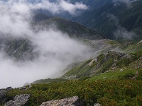 �ቺ�ɔ��{���̗Ő���������B