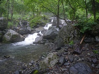 �劒��̐��ʂ͑��ς�炸�L�x�B