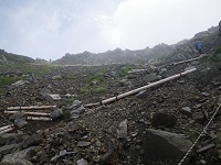 �R���ւ̐S���j��̍�I�H