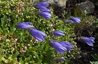 �`�V�}�M�L���E