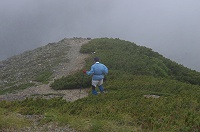 �삯����ꂳ��I