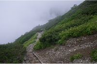 �����ׂ������B