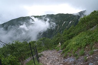 �E������̕W���ƃV�J�����ԁB