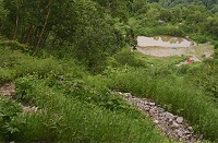 ����ƌ�r�B���e���g��������I