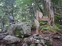 ����ƕ���ɓ����E�E�E