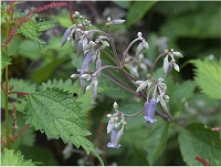 �N�T�{�^��