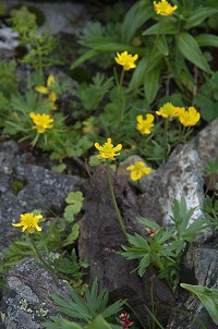 �L�^�_�P�L���|�E�Q