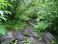 �ĂщE�݂̓���i�ށE�E�E������������ɂ����B