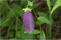 �z�^���u�N��