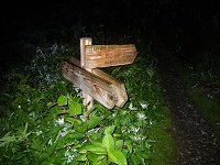 �����ׂ�֐i�ށE�E�E�B