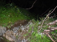 ��̓o�R���E�E�E�B