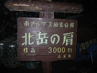 ���̏����ɓ����B