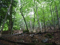 �����������Ǌ��������o���E�E�E�B