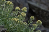 �n�n�R�����M