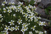 �^�J�l�c���O�T