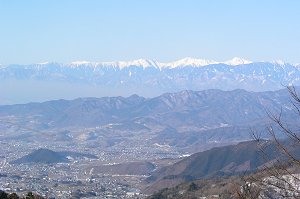 ���W�]�䂩��̓W�]�B