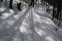 ���т̓���o��E�E�E